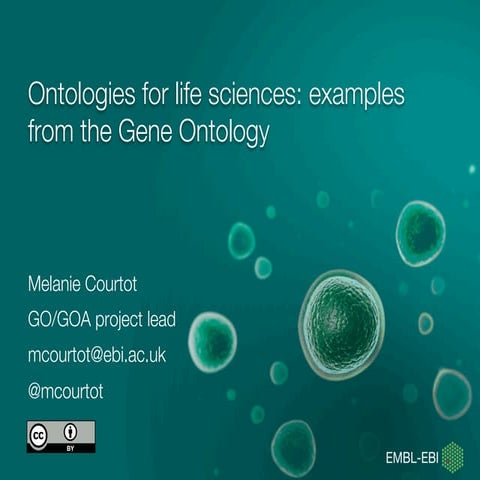 Ontologies for life sciences: examples from the gene ontology