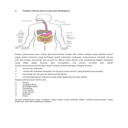 Tgas sistem pncernaan