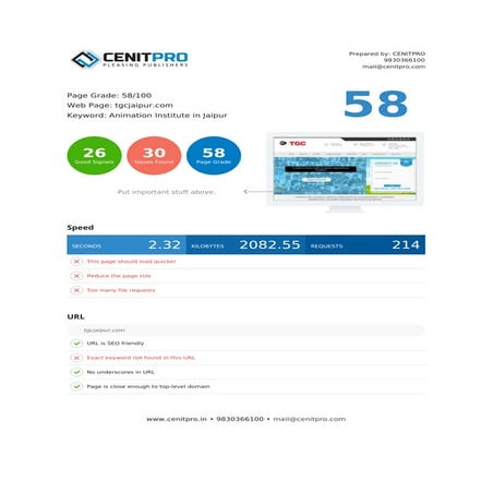 SEO Audit Report Format 