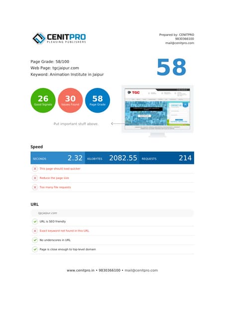 SEO Audit Report Format 