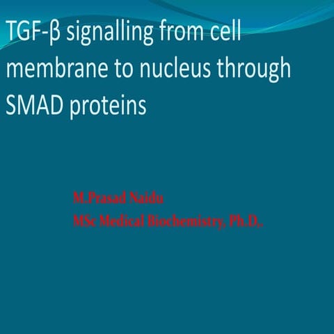 Tgf β signalling from cell