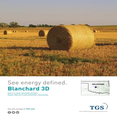 TGS NSA- Blanchard 3D