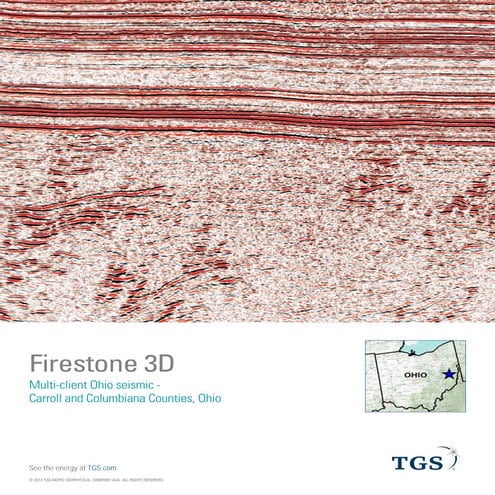 TGS NSA- Firestone 3D