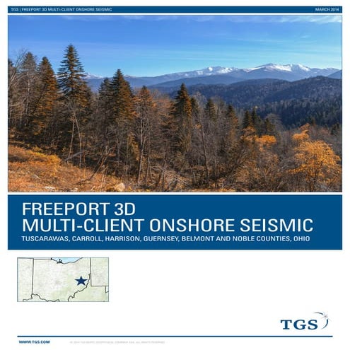 TGS NSA- Freeport 3D