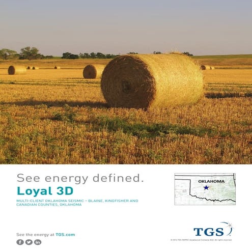 TGS NSA- Loyal 3D 