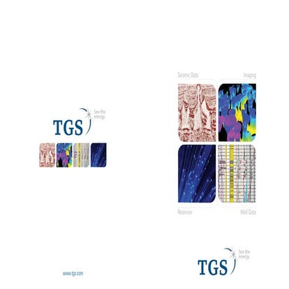 TGS Corporate Capabilities