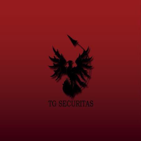 TG Securitas Company Profile