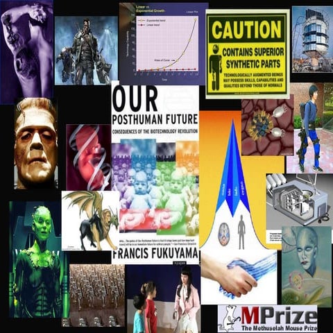 Transhumanimsus - Selbst- und Fremdverstaendnis