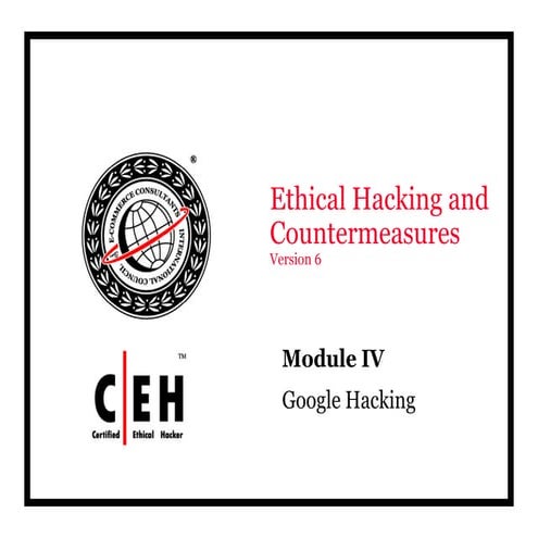 TH3 Professional Developper google hacking
