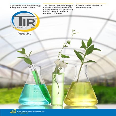 Thailand Investment Review,February 2017