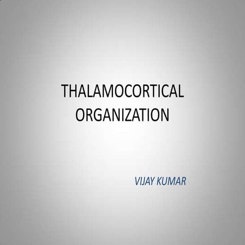 Thalamocortical organization