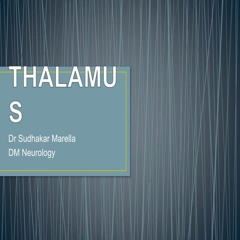 Thalamus