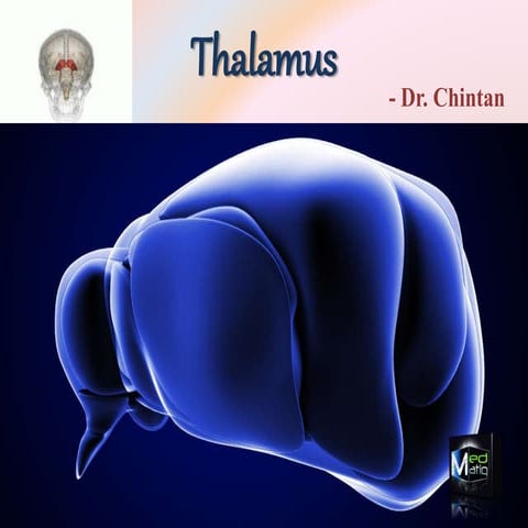 Thalamus
