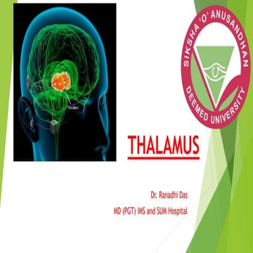 Thalamus-Anatomy,Physiology,Applied aspects