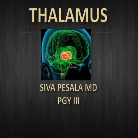 Thalamus