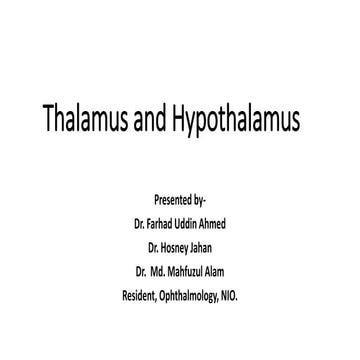 Thalamus and hypothalamus