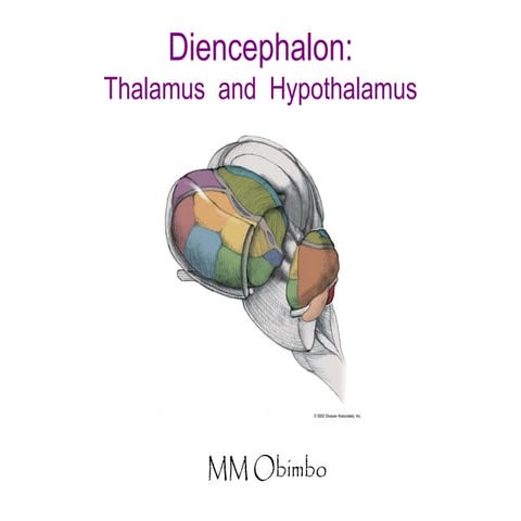 Thalamus and Hypothalamus.pdf