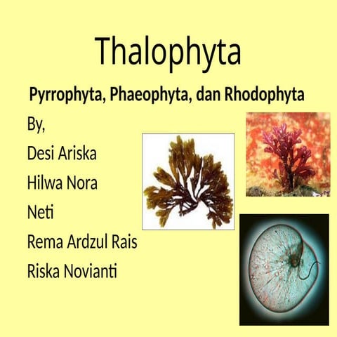 Thalophyta PPTmateri mata kuliah botani tumbuhan rendah.pptx