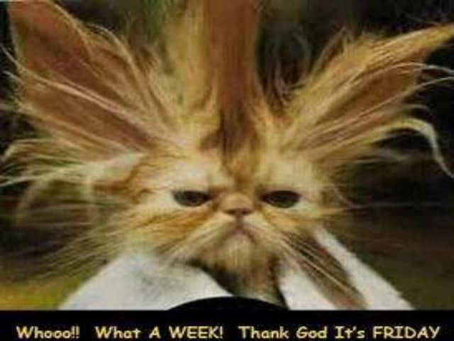 Thank god it is friday 1