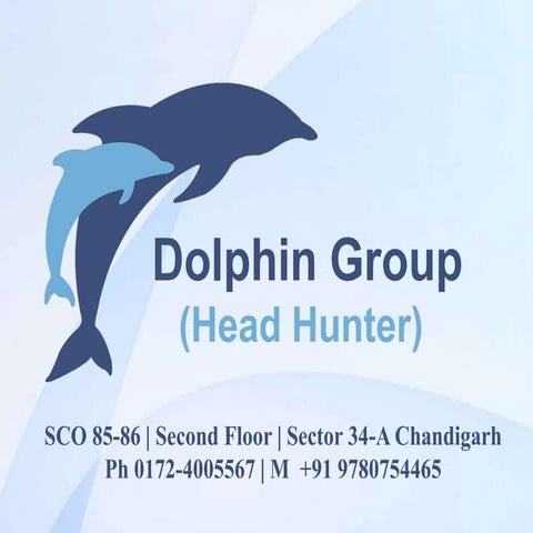 Best ielts coaching in chandigarh - Dolphin Head Hunters 