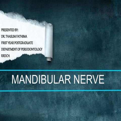 Mandibular nerve