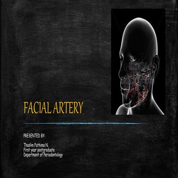 Facial artery
