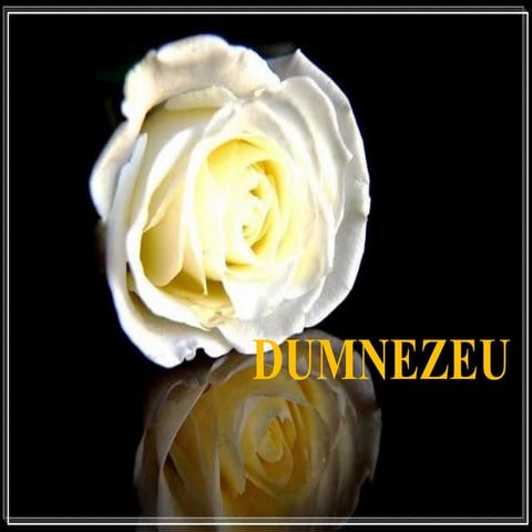 Thats god | www.mototol.ro |