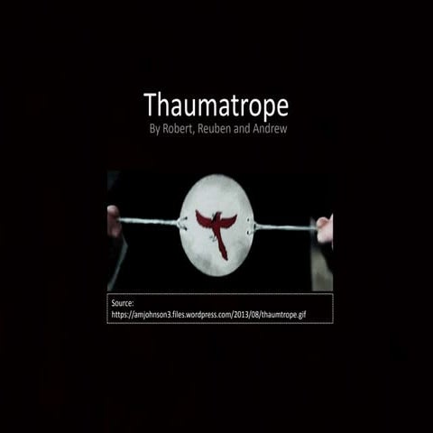 Thaumatrope