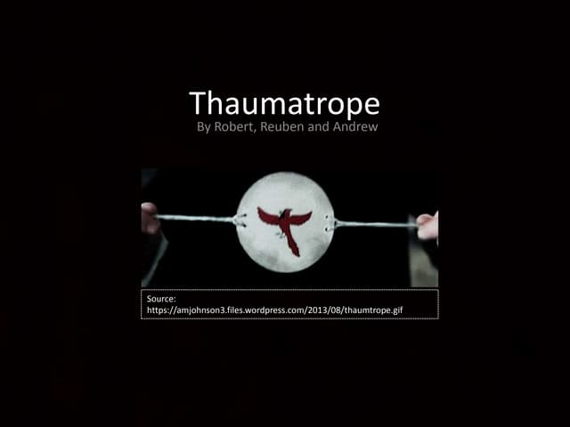 Thaumatrope