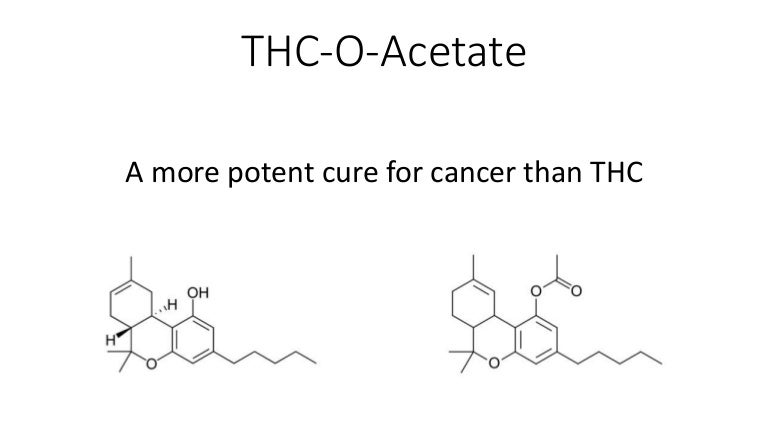 a zsírégetés segít e eltávolítani a thc t menyasszonyi fogyás kihívás