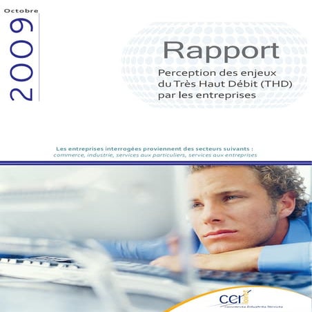 Perception des enjeux du Très Haut Débit dans les entreprises du Loiret