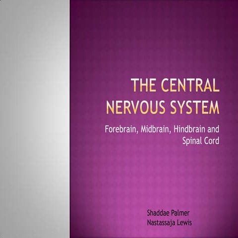The central nervous system,,,ext