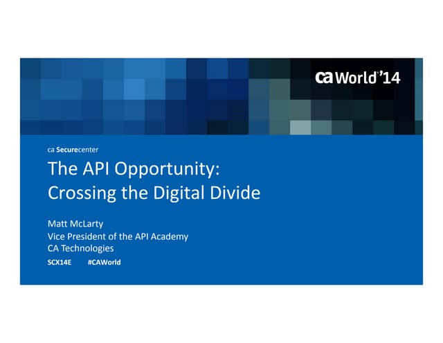 The API Opportunity: Crossing the Digital Divide