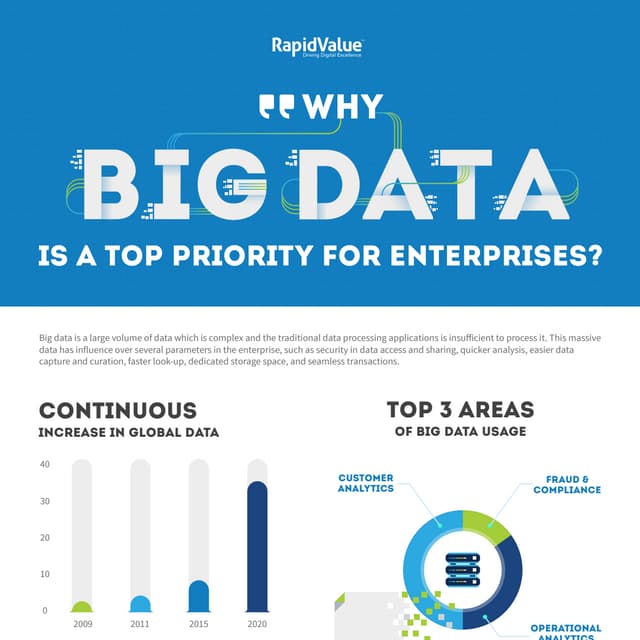 Why Big Data is a Top Priority for Enterprises - Infographics by RapidValue