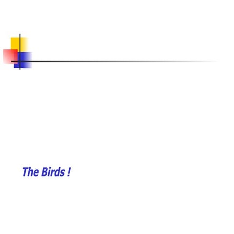 The birds