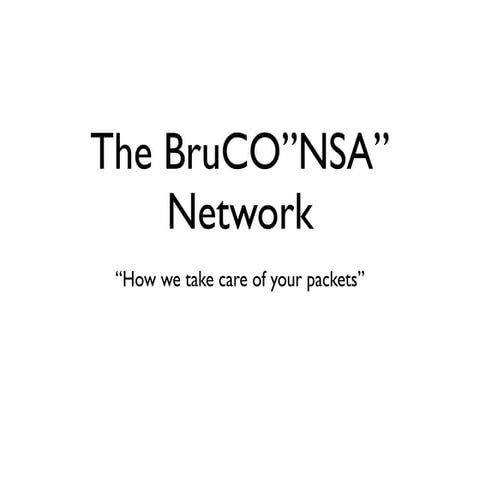 The BruCO"NSA" Network