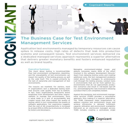 The Business Case for Test Environment Management Services