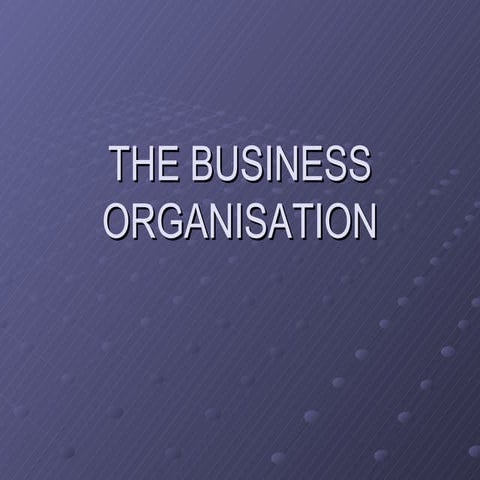 The Business Organisation