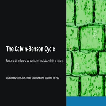 Regulation of calvin cycle | PPTX
