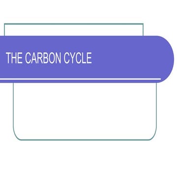 THE-CARBON-CYCLE.pptx