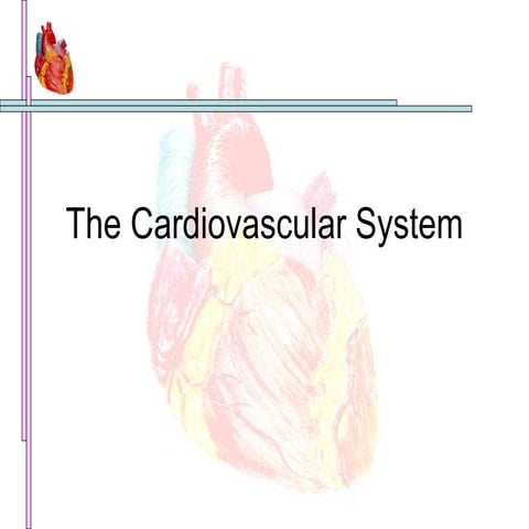 The Cardiovascular System