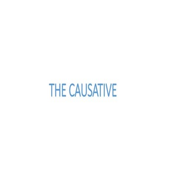 the-causative-grammar-guides_122621.ppt