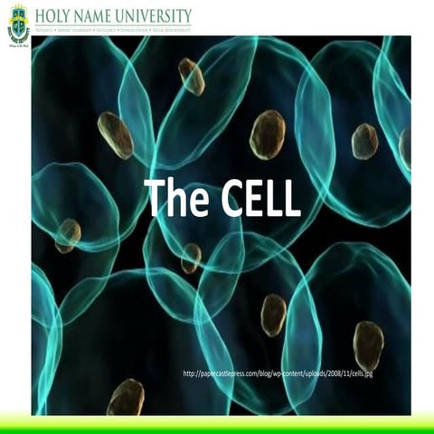A Brief History of the Cell and it's Anatomy