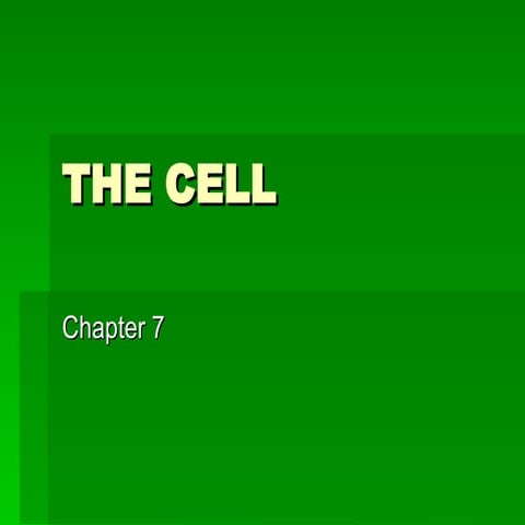 The Cell