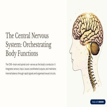The-Central-Nervous-System-Orchestrating-Body-Functions.pdf