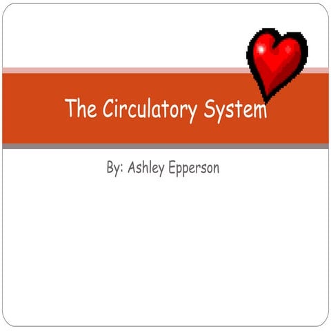 Circulatory system