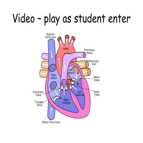 The-Circulatory-System-PPT.pptxpptpptppt