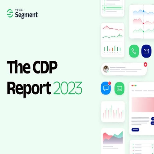 The-Customer-Data-Platform-Report-2023.pdf