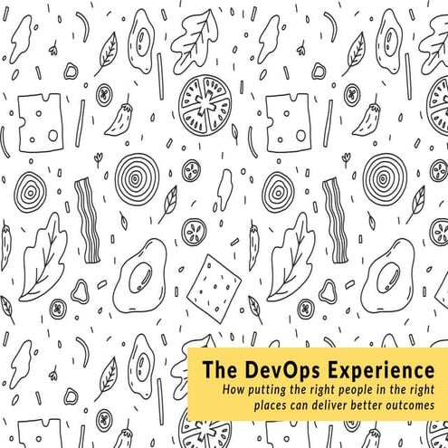 The DevOps Experience