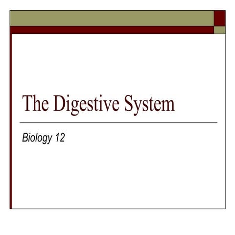 The Digestive System